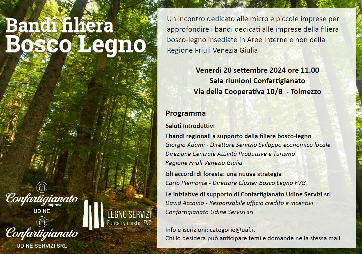 Incontro “Bandi filiera Bosco-Legno” a Tolmezzo: opportunità per le micro e piccole Imprese