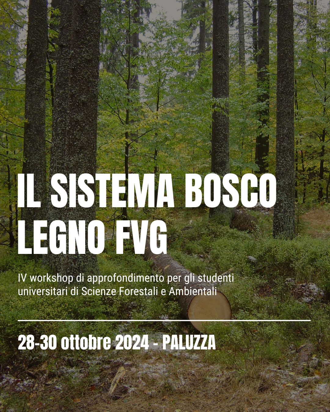 4° Workshop con i ragazzi di AUSF Italia – Un’occasione di crescita e formazione per i futuri professionisti del settore forestale