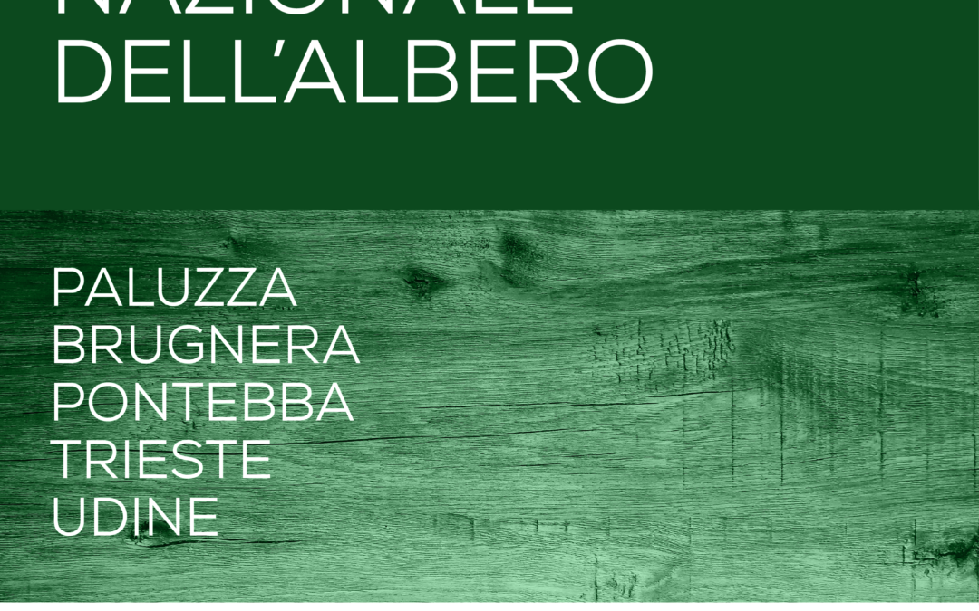 21 Novembre 2024 – Giornata Nazionale dell’Albero: incontri e attività per scoprire il futuro delle nostre foreste