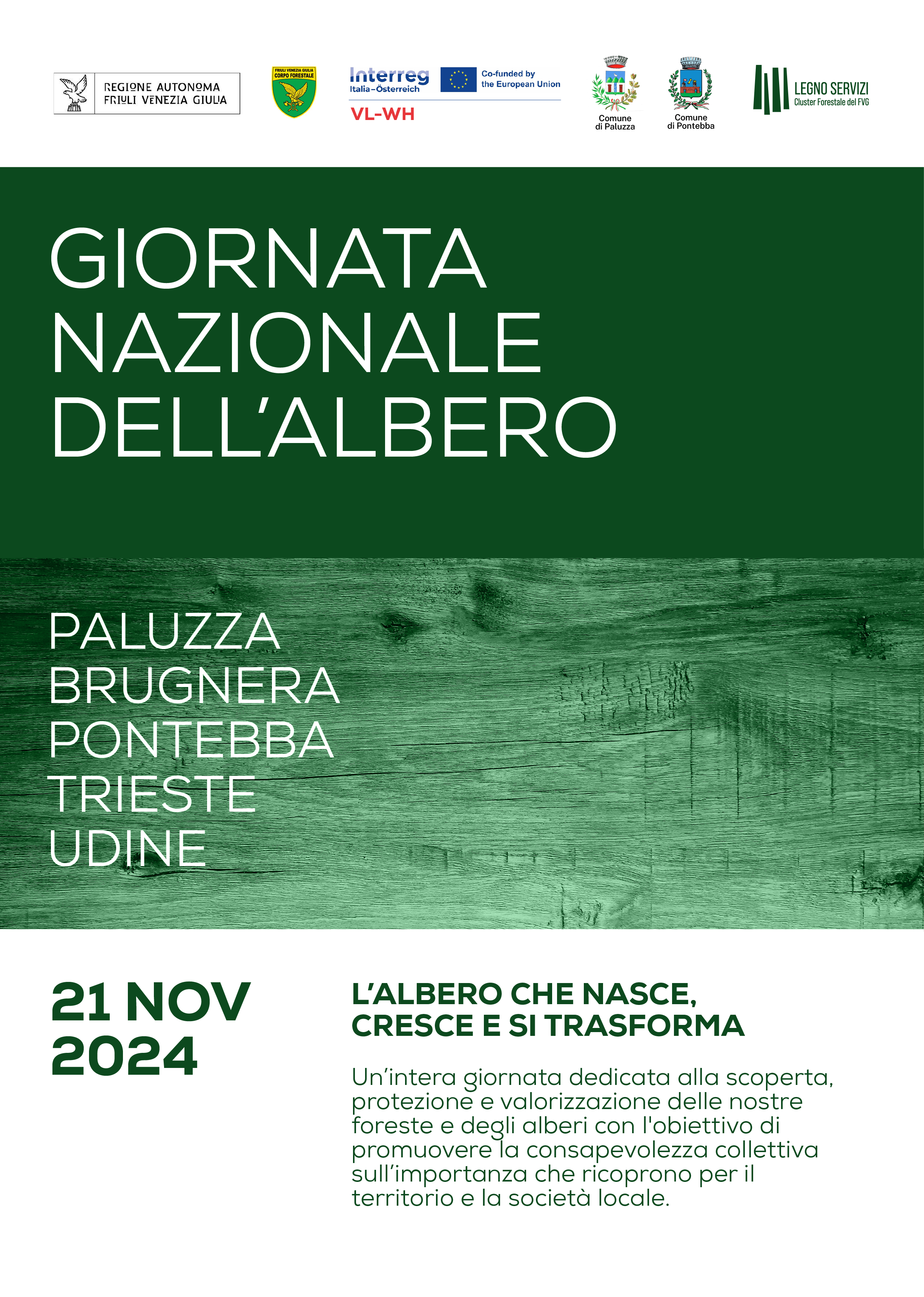 21 Novembre 2024 – Giornata Nazionale dell’Albero: incontri e attività per scoprire il futuro delle nostre foreste