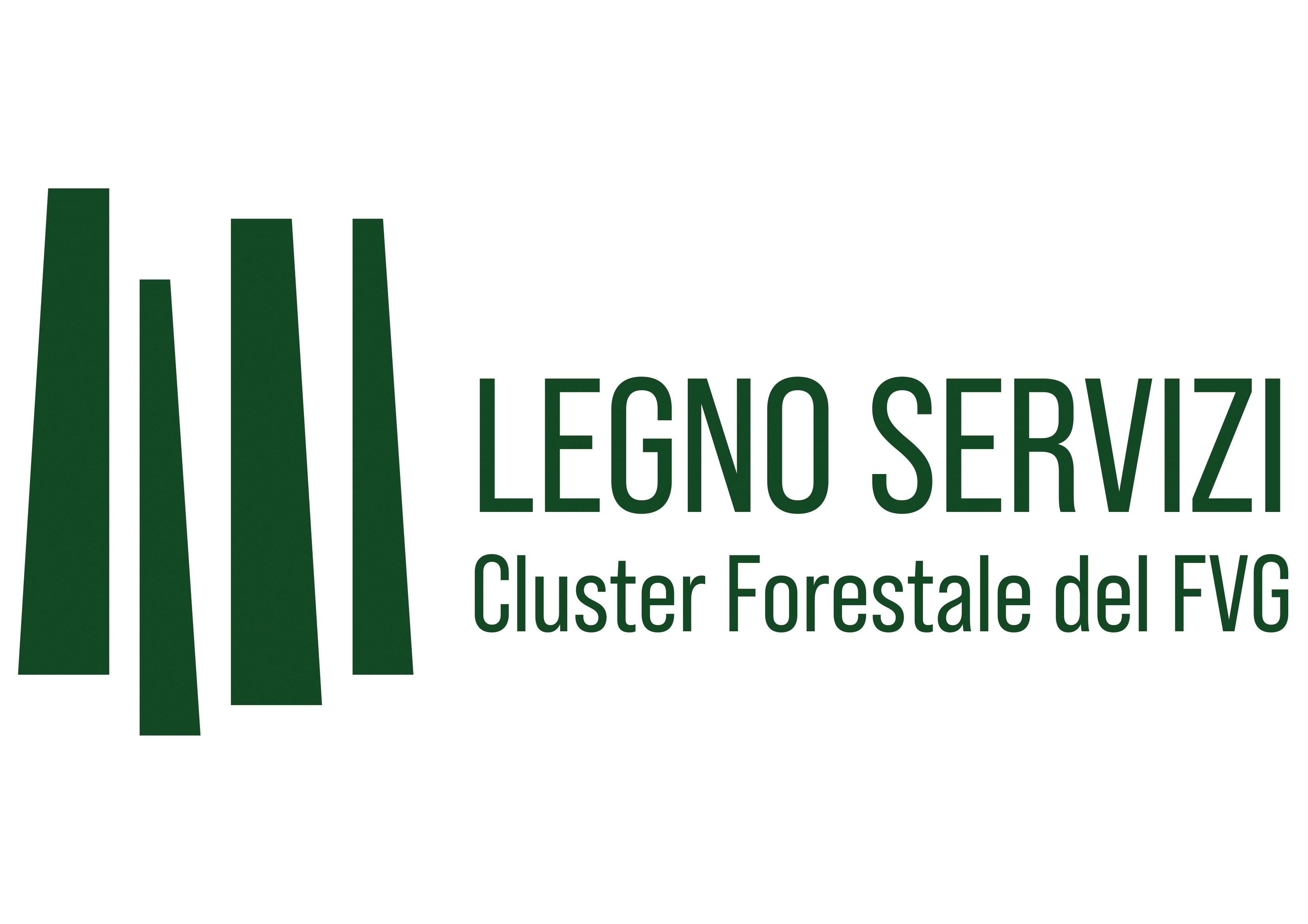 Legno Servizi Forestry Cluster FVG